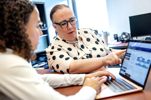 A student looks at a laptop while talking to an advisor.