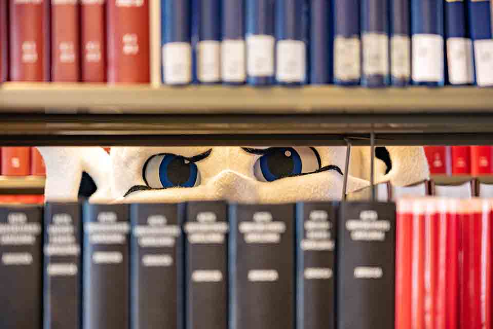 Saint Louis University Billiken Saint Louis University Billiken eyes peeking between library shelves