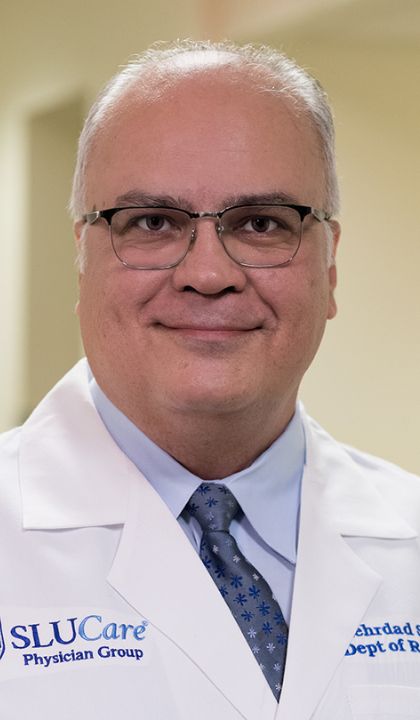 Headshot of Mehrdad Sehi