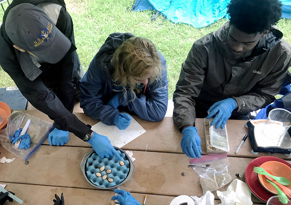 Dan Warren, Ph.D. (Biology) and Mickey Ariel, Ph.D. &nbsp;(Pharmacology and Physiology) were recently awarded a three-year, $700,000 grant from the National Science Foundation to study the neurophysiological basis of anoxia tolerance in turtles.