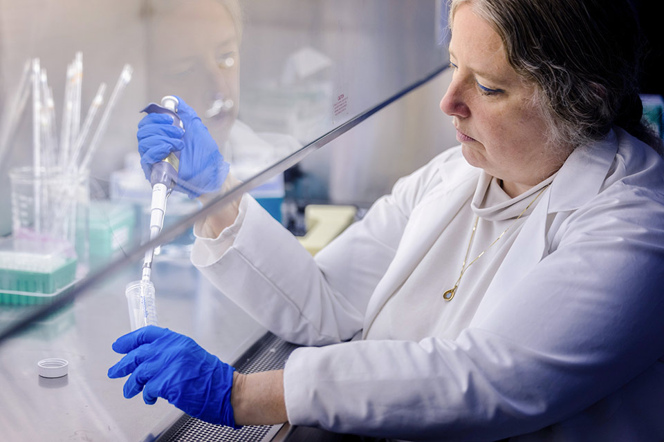 A woman in a lab coat holds a test tube in a laboratory setting. A woman in a lab coat holds a test tube in a laboratory setting.